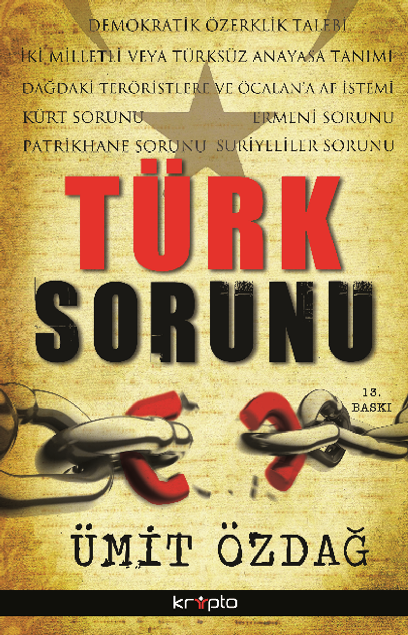 Türk Sorunu (Roman Boy) — kapak